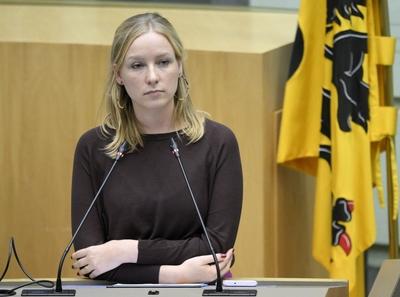 Plenary Session Flemish Parliament 11/12/2024-stock-foto