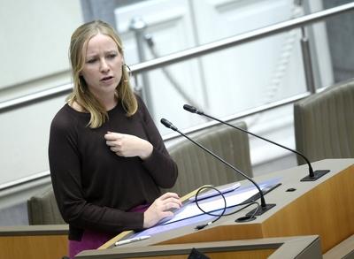 Plenary Session Flemish Parliament 11/12/2024-stock-foto