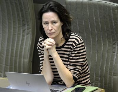 Plenary Session Flemish Parliament 11/12/2024-stock-foto