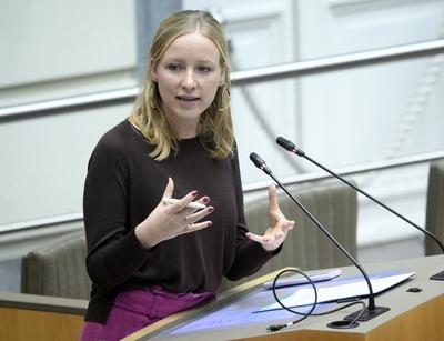 Plenary Session Flemish Parliament 11/12/2024-stock-foto