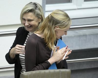 Plenary Session Flemish Parliament 11/12/2024-stock-foto