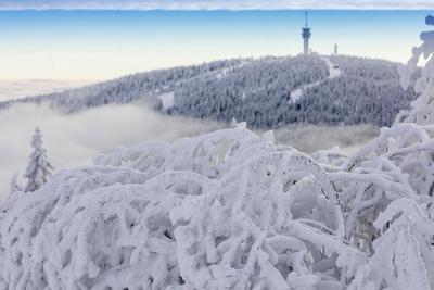 Lust auf Winter? Nach tagelangem November grau gab es in den Mittelgebirgen reichlich Neuschnee. Doch auch hier waren di-stock-foto