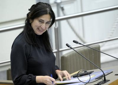Plenary Session Flemish Parliament 11/12/2024-stock-foto
