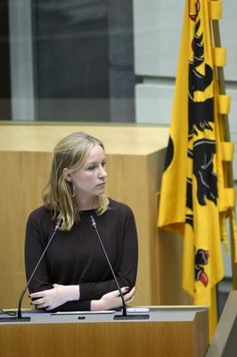 Plenary Session Flemish Parliament 11/12/2024-stock-foto