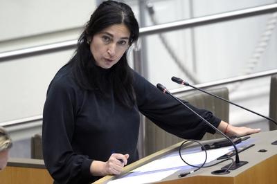 Plenary Session Flemish Parliament 11/12/2024-stock-foto