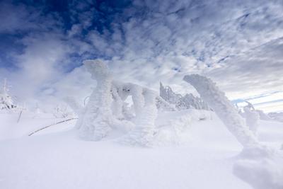 Lust auf Winter? Nach tagelangem November grau gab es in den Mittelgebirgen reichlich Neuschnee. Doch auch hier waren di-stock-foto