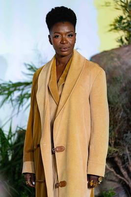 Mufasa: The Lion King UK premiere-stock-foto