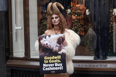PETA Cashmere-Free Christmas Outside Burberry-stock-foto