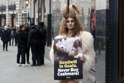 PETA Cashmere-Free Christmas Outside Burberry-stock-foto