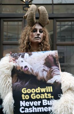 PETA Cashmere-Free Christmas Outside Burberry-stock-foto