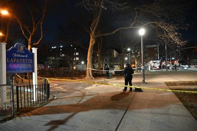 Two people shot at lafayette gardens nycha housing complex in brooklyn new york-stock-foto