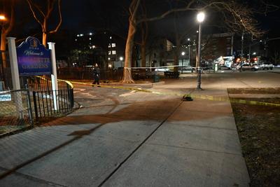 Two people shot at lafayette gardens nycha housing complex in brooklyn new york-stock-foto
