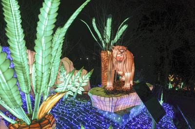 Magische Lichterwelten-stock-foto