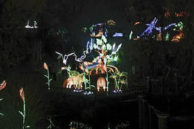 Magische Lichterwelten-stock-foto