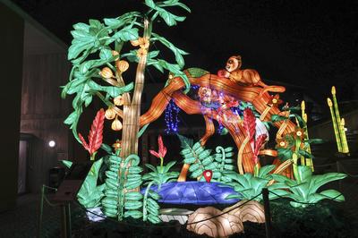 Magische Lichterwelten-stock-foto
