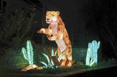 Magische Lichterwelten-stock-foto