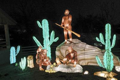 Magische Lichterwelten-stock-foto