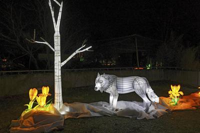 Magische Lichterwelten-stock-foto