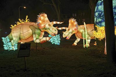 Magische Lichterwelten-stock-foto