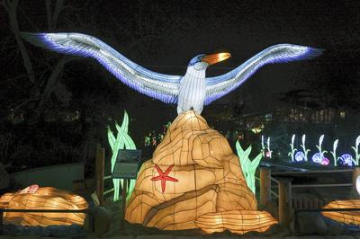 Magische Lichterwelten-stock-foto