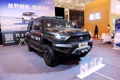 16th Shandong International Auto Show 2024 in Qingdao-stock-photo