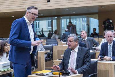 Andreas Schwarz, Vorsitzender Gr?ne Landtagsfraktion, Dr. Hans-Ulrich R?lke, Vorsitzender der FDP/DVP-Landtagsfraktion.-stock-foto