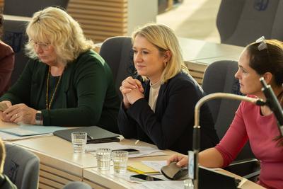 Landtag Schleswig Holstein mit neuer Abgeordneten Anne Rieke-stock-foto