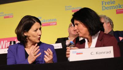 FDP Bundestagswahl 2025 Landesdeligierte-stock-foto