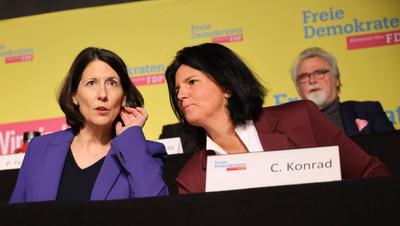 FDP Bundestagswahl 2025 Landesdeligierte-stock-foto