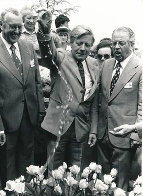 Bundeskanzler Helmut Schmidt (M.) tauft eine Rose auf seinen Namen auf dedr Bundesgartenschau 1979 in Bonn ----German Ch-stock-foto