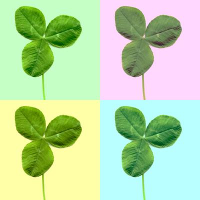 Shamrock clover leaf Pop art style collage of Shamrock three leafed clover trifolium plant Copyright: xZoonar.com/Claudi-stock-foto