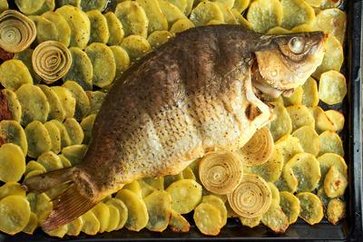 Baked carp, whole fish from the oven with sliced potatoes on a large tray. Traditional polish dish Baked carp, whole fis-stock-photo
