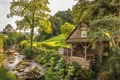 Historische Wasserm?hle im Schwarzwald, Rainbauernm?hle, Ottenh?fen, Baden-W?rttemberg, Deutschland The famous Rainbauer-stock-foto