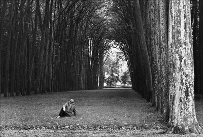 Man alone in the castle-stock-foto