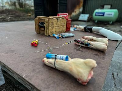 Die Feuerwehr Hamburg zeigt, wie gef?hrlich illegales Feuerwerk sein kann. Anhand einer Schweinepfote, die einer menschl-stock-photo