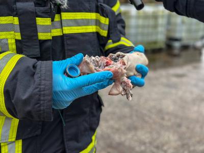 Die Feuerwehr Hamburg zeigt, wie gef?hrlich illegales Feuerwerk sein kann. Anhand einer Schweinepfote, die einer menschl-stock-photo