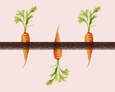 illustration of carrots, one upside down, symbolizing nonconformity and individuality on a pastel pink background Three-stock-photo