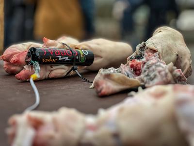 Die Feuerwehr Hamburg zeigt, wie gef?hrlich illegales Feuerwerk sein kann. Anhand einer Schweinepfote, die einer menschl-stock-photo