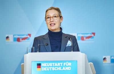 Fraktionssitzung der AfD-stock-foto