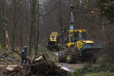 Dietenbach R?umung und Waldrodung-stock-foto