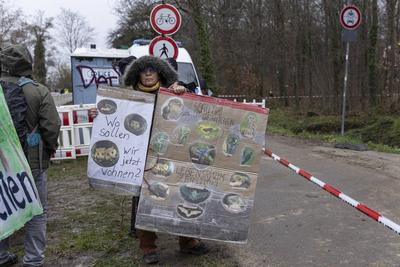 Dietenbach R?umung und Waldrodung-stock-foto