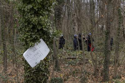 Dietenbach R?umung und Waldrodung-stock-foto