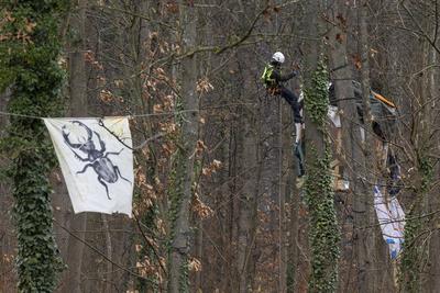 Dietenbach R?umung und Waldrodung-stock-foto