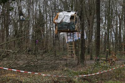 Dietenbach R?umung und Waldrodung-stock-foto