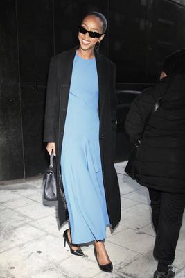 Ebony Obsidian seen at Good Day NY-stock-foto