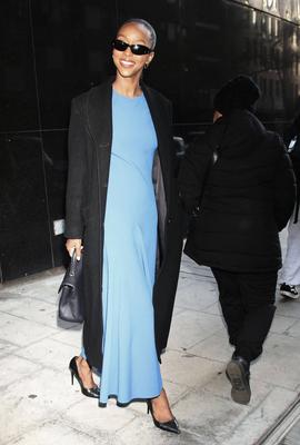 Ebony Obsidian seen at Good Day NY-stock-foto