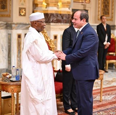 Egyptian President Abdel Fattah El-Sisi inaugurates the D8 Summit for Economic Cooperation-stock-photo