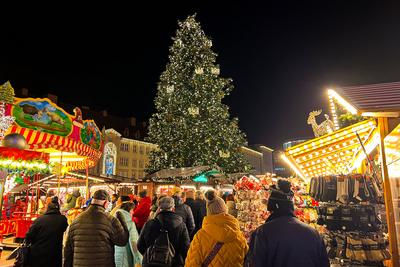 Weihnachtsbaum auf dem Weihnachtsmarkt 2024 in Magdeburg (Sachsen Anhalt) *** Christmas tree at the 2024 Christmas marke-stock-foto