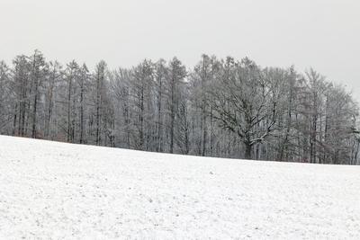 Winter im Siegerland-stock-foto