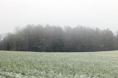 Winter im Siegerland-stock-foto